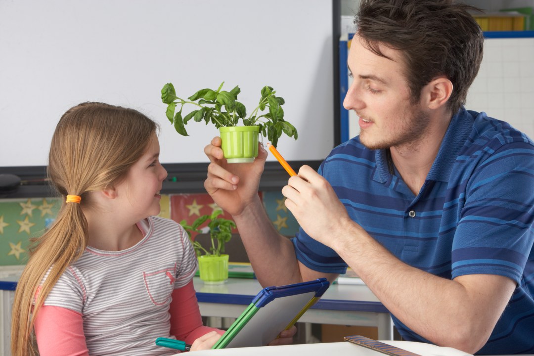 Niña aprendiendo sobre plantas con su profesor