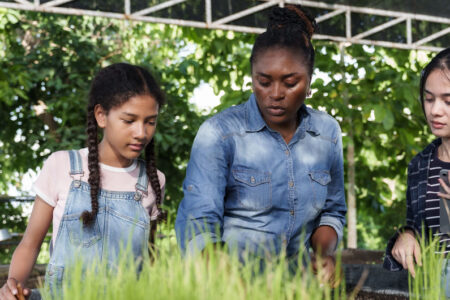 How to Become an Agriculture (FFA) Teacher in Texas
