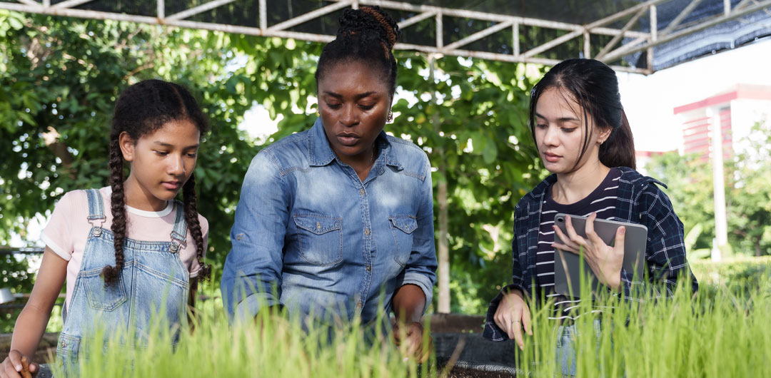 How to Become an Agriculture (FFA) Teacher in Texas
